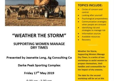 Weathering the Storm