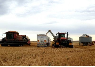 Farm Business HR Masterclass | Maitland | 29th June, 24th August 2022 and two webinars