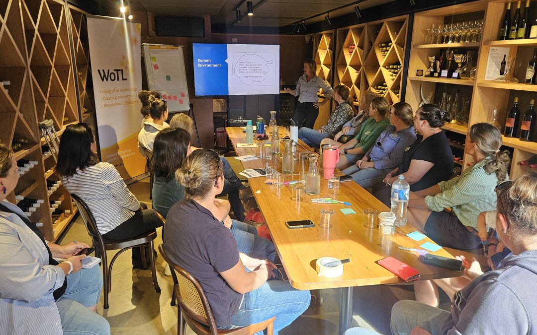 Autumn Ambassador Events Round Up