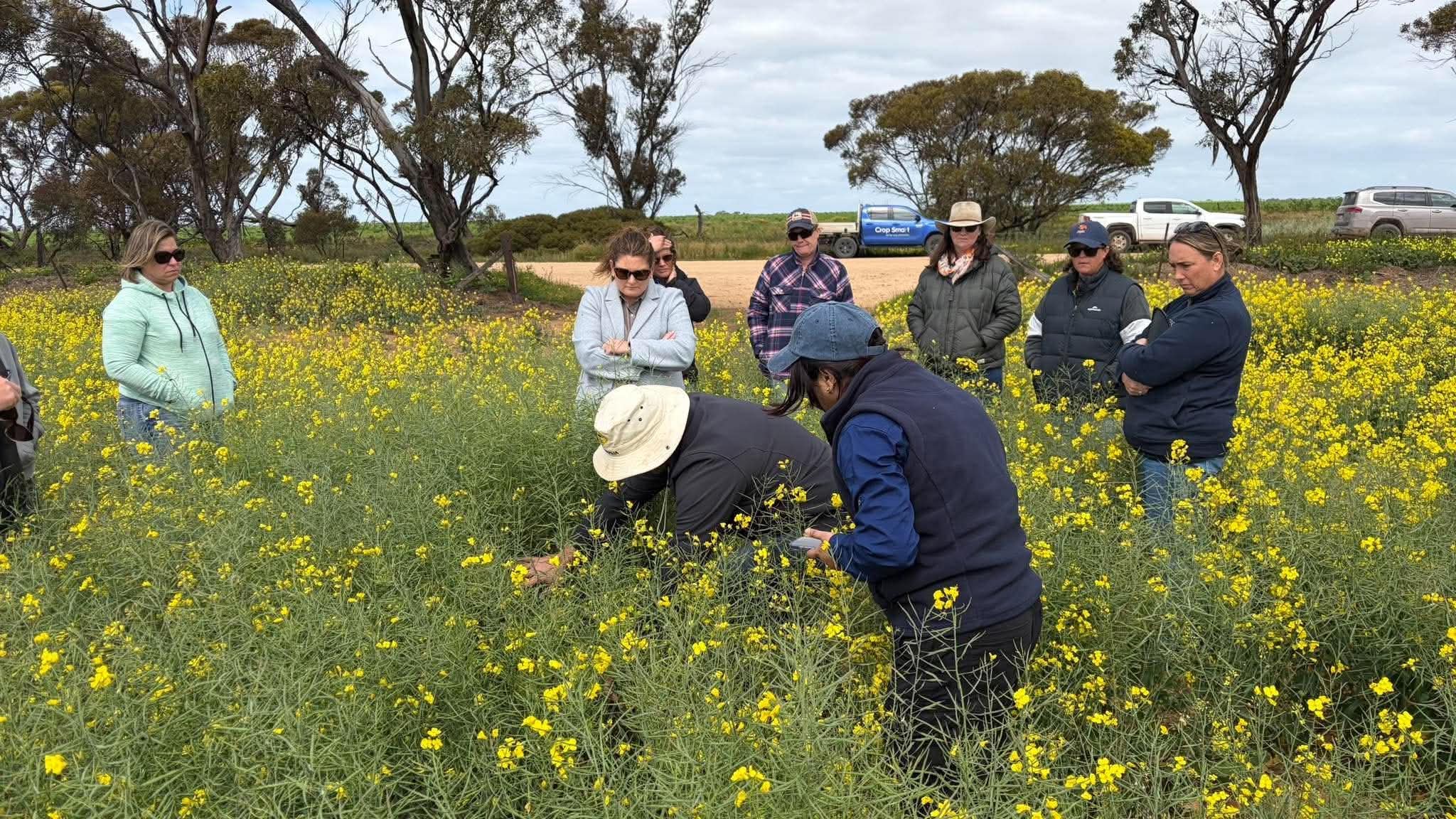 WoTL and LLS NSW AgriWomen Connect Conference
