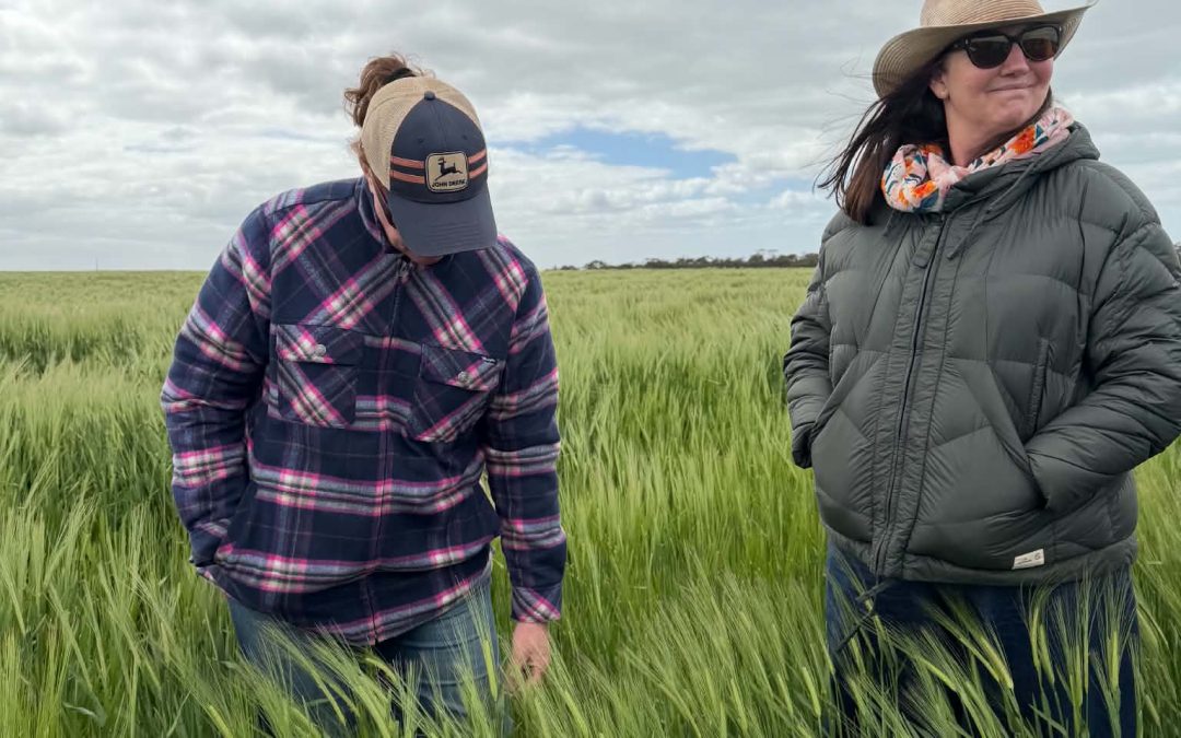 Spring 2026 Crop Walks Kick Off in SA