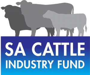 SA Cattle Industry Fund Scholarship Sponsor of WoTLs Stepping into Leadership Program SA Cattle Industry Fund Scholarship Sponsor of WoTLs Stepping into Leadership Program